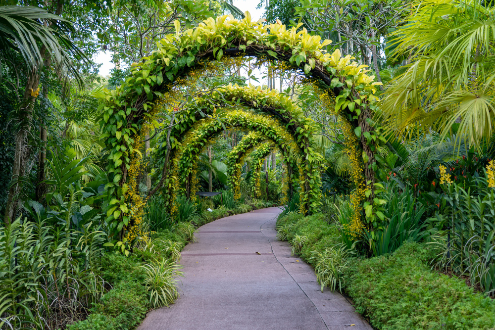 Footpath under a beautiful arch of flowers and plants - Crafting a Garden Sanctuary